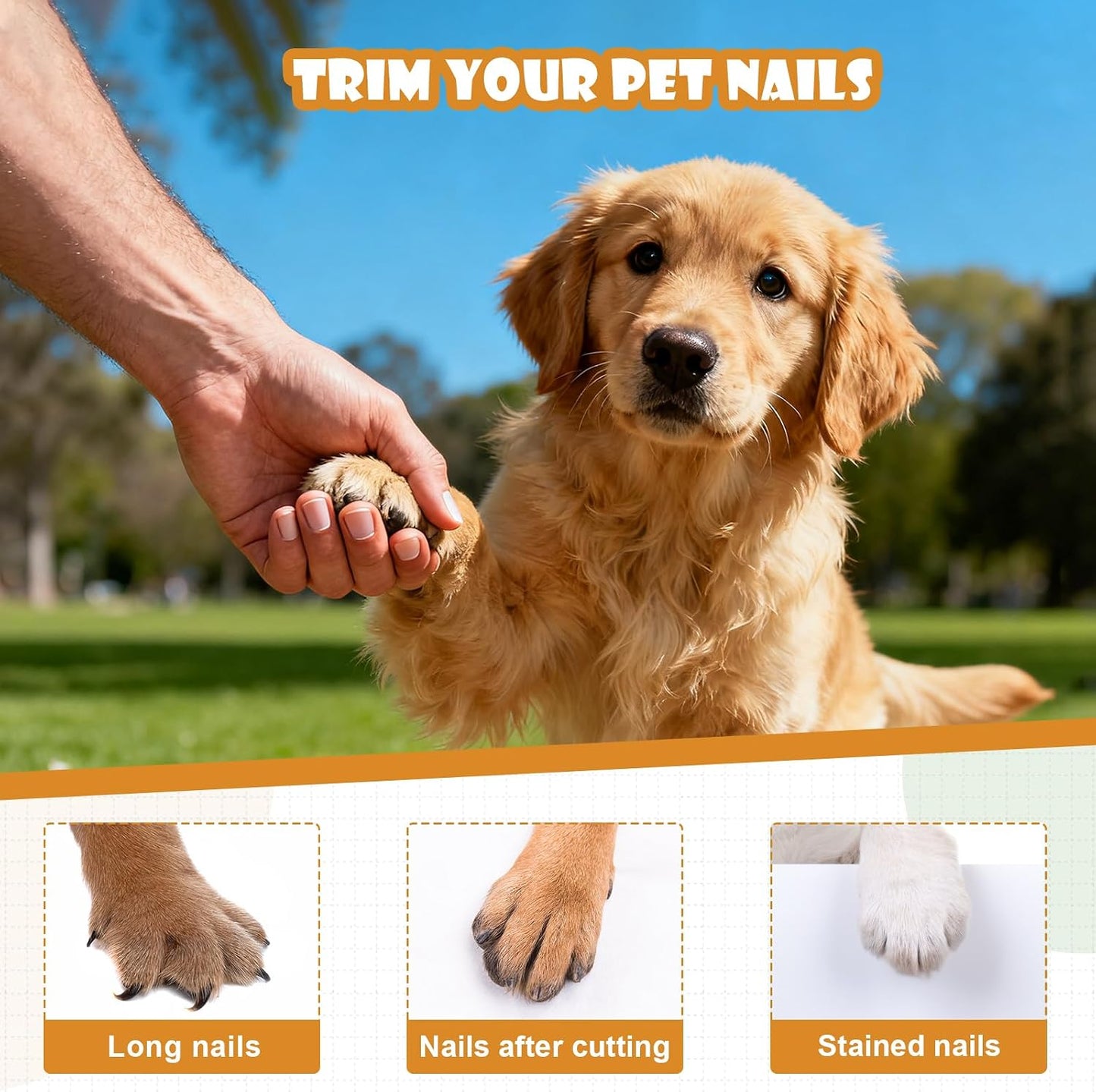 2 in 1 Pet Nail Trimmer