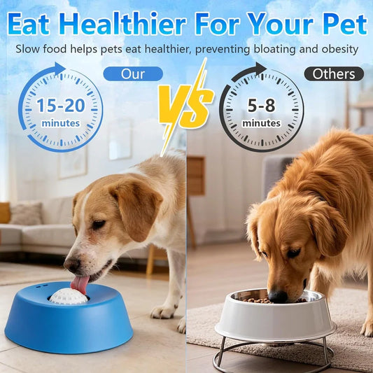 Slow Feeder Dog Bowl