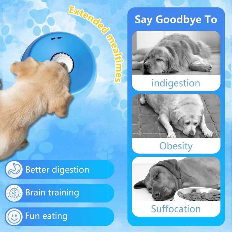 Slow Feeder Dog Bowl