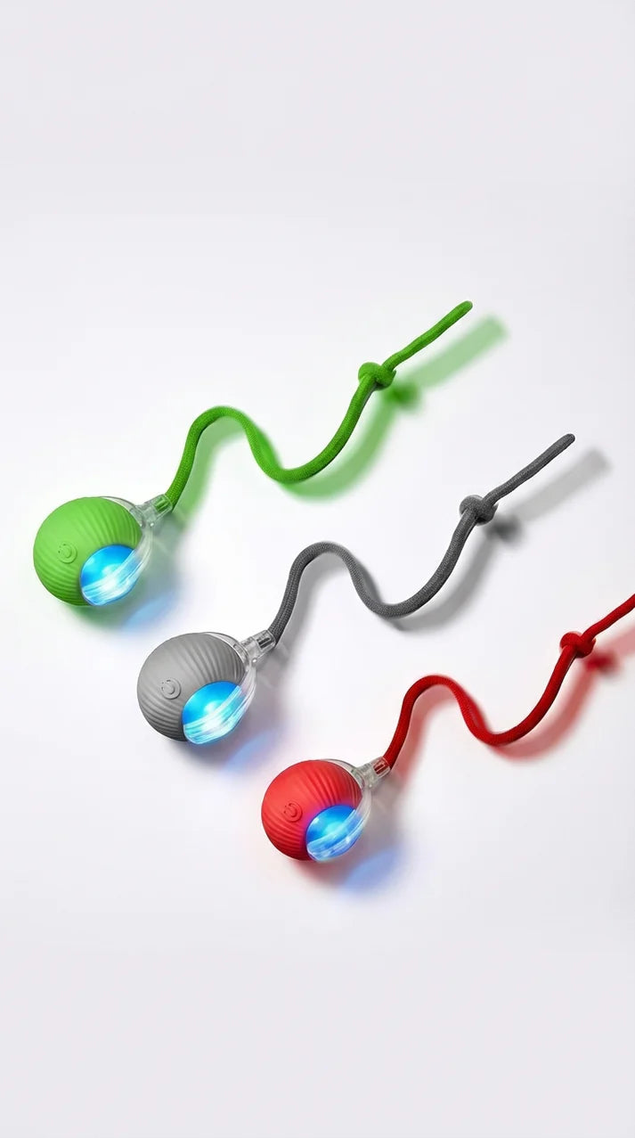 SpinBall™ - Self-Rolling Interactive Cat Toy