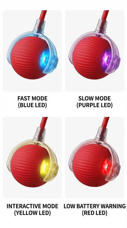 SpinBall™ - Self-Rolling Interactive Cat Toy